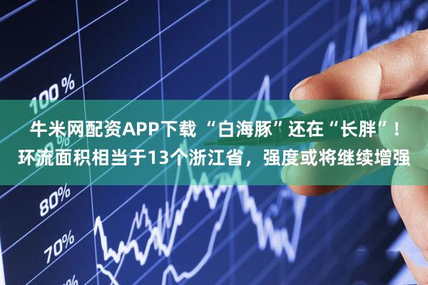 牛米网配资APP下载 “白海豚”还在“长胖”！环流面积相当于13个浙江省，强度或将继续增强